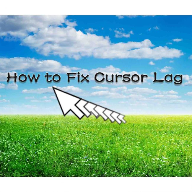 Solve Cursor Delays Issue | GAOMON Q&A